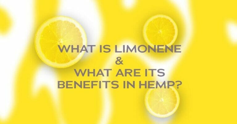 What Is Limonene & What Are It's Benefits In Hemp?