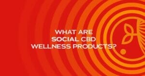 Daily Bliss CBD Products