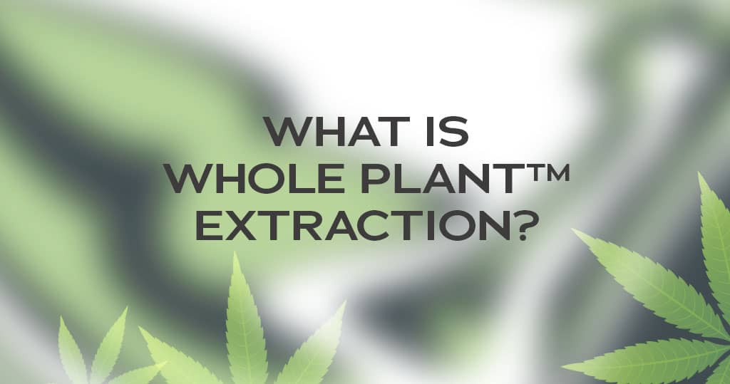 What is Whole Plant Extraction?
