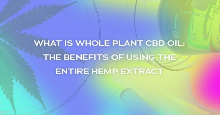 What is Whole Plant CBD Oil: The Benefits of Using the Entire Hemp Extract