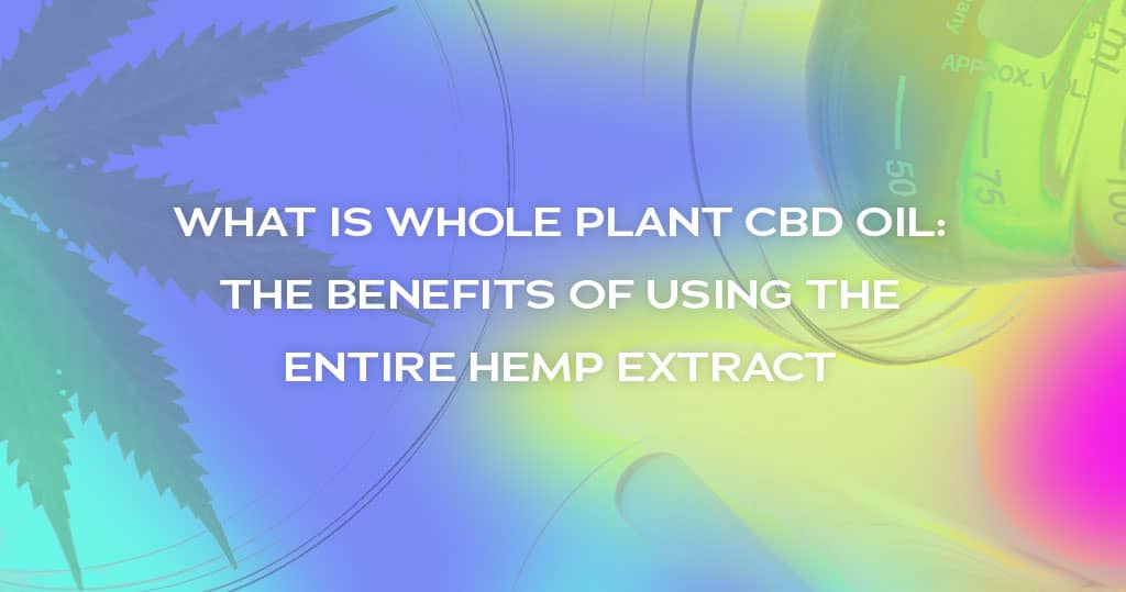 What is Whole Plant CBD: The Benefits of Using the Entire Hemp Extract