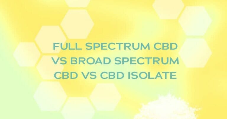 Full spectrum CBD vs broad spectrum CBD vs CBD isolate