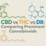 CBD vs THC vs D8: Comparing Prominent Cannabinoids