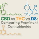 CBD vs THC vs D8: Comparing Prominent Cannabinoids