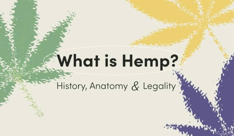 What Is Hemp? History, Anatomy, Legality