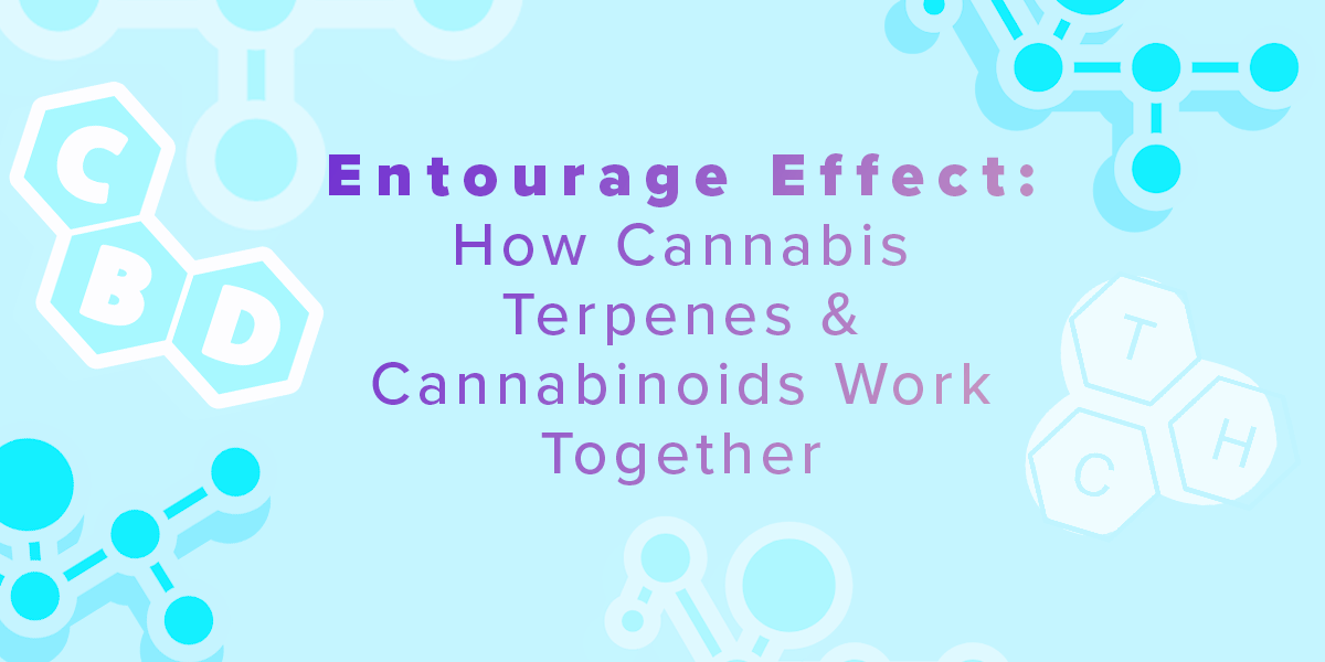 What is the Entourge Effect? How Cannabis Terpenes and Cannabinoids Work Together
